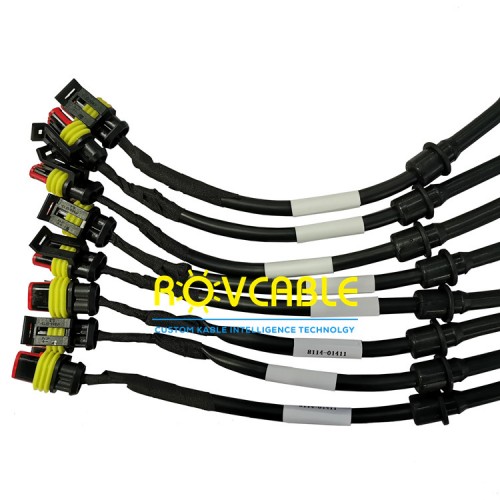 Custom Oem Wire Harness Auto Low Voltage Vehicle Wiring Harness 